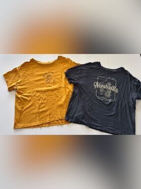 Stitch fix brands graphic Tshirts lot of 2 size 16